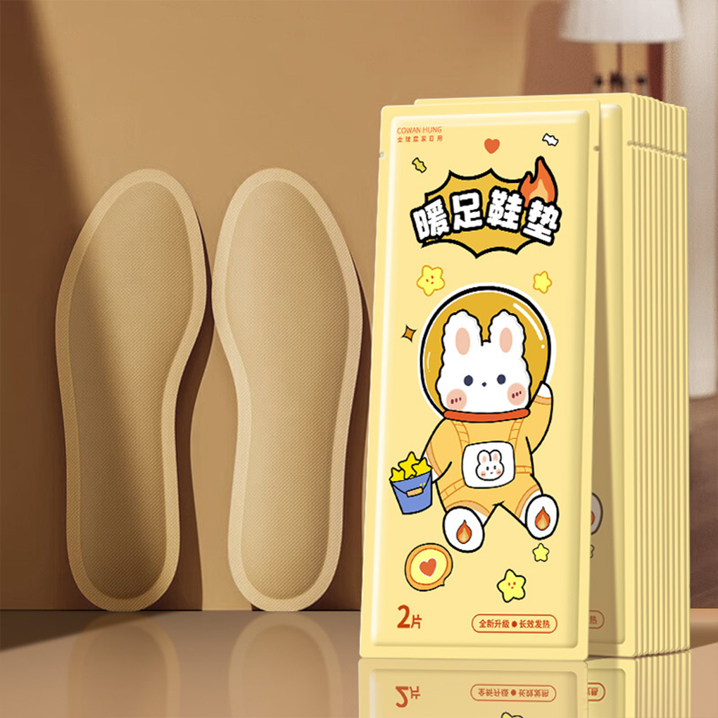 Sol dalam pemanas penghangat k - Heated Insole Rechargeable ulasan dan harga